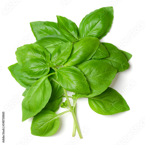 Print op canvas Bunch of fresh sweet basil, from above