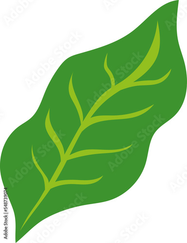 Nature leaf doodle cartoon decoration