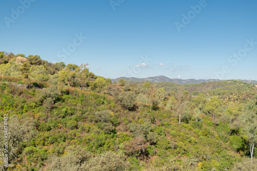 Mountain in spring with mediterranean forest