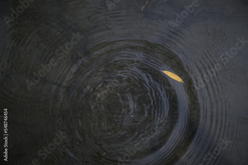 autumn maple fallen leaves under lake water surface with waves circles and sky reflation