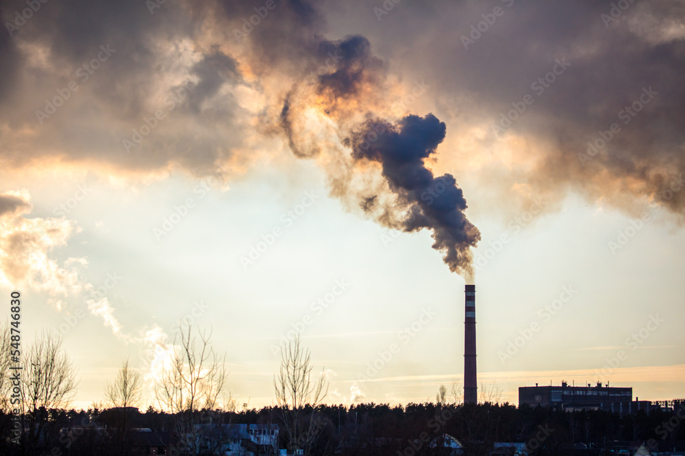 Smoke from chimneys at the plant in the rays of the sunset as a background.