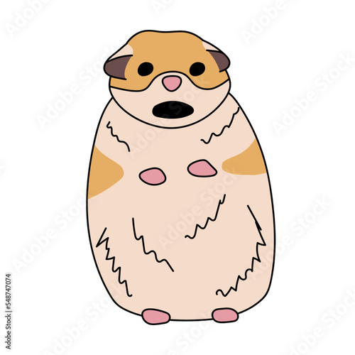 Famous meme with scared hamster. Flat comic fun vector illustration. Frightened surprised animal. Sticker for messengers. Open mouth. Terrified.