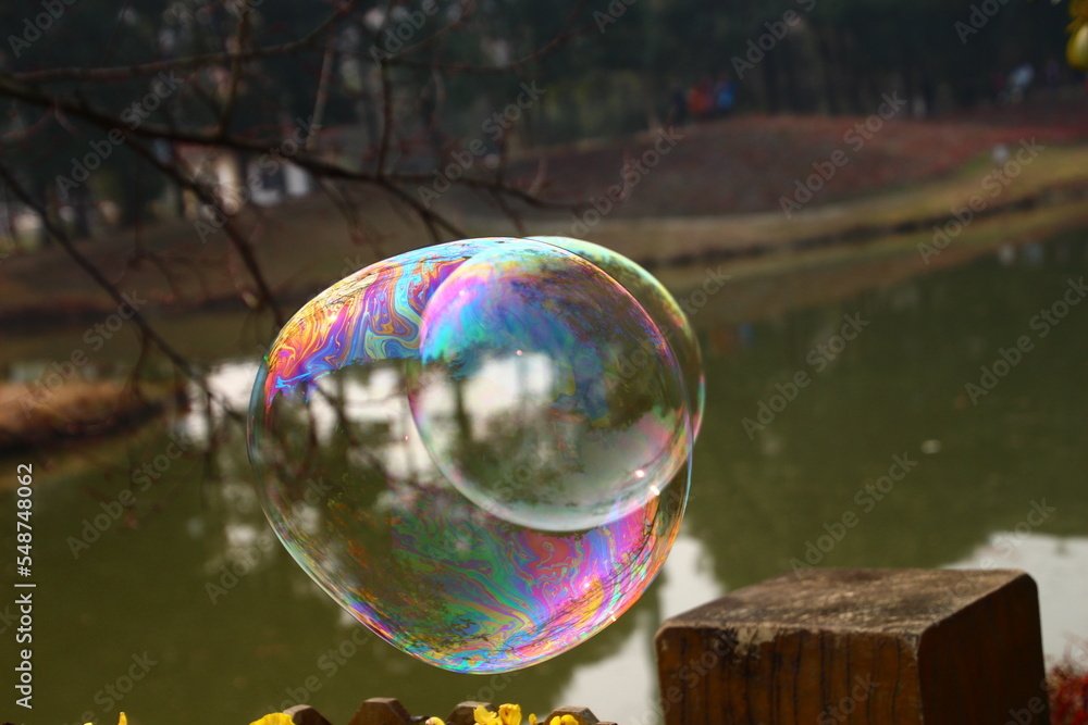 soap bubbles in the park soap bubbles in the park