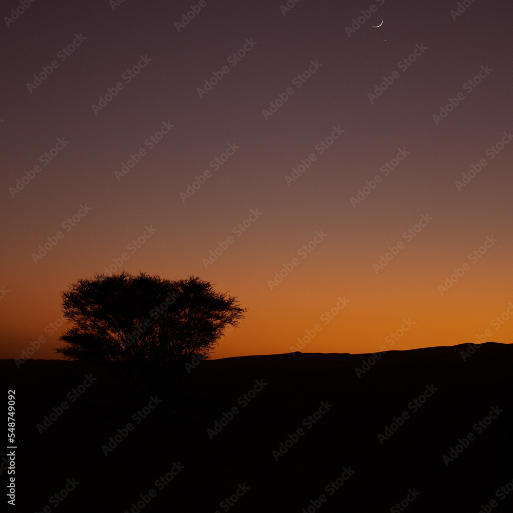 Sunset in the desert of Oman
