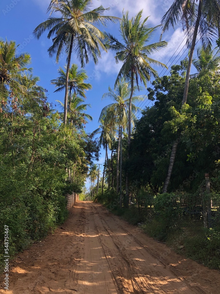 Fototapeta premium Typical road in Watamu, Kenya.