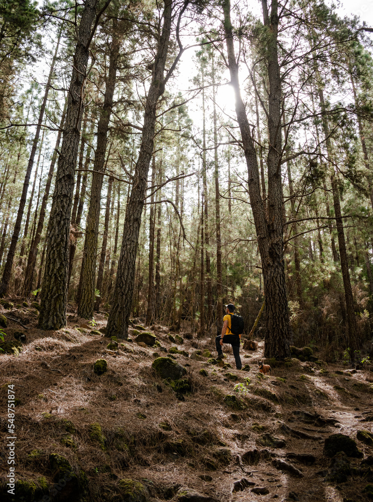 White man hiking through the forest in autumn. White man hiking through the forest in autumn.