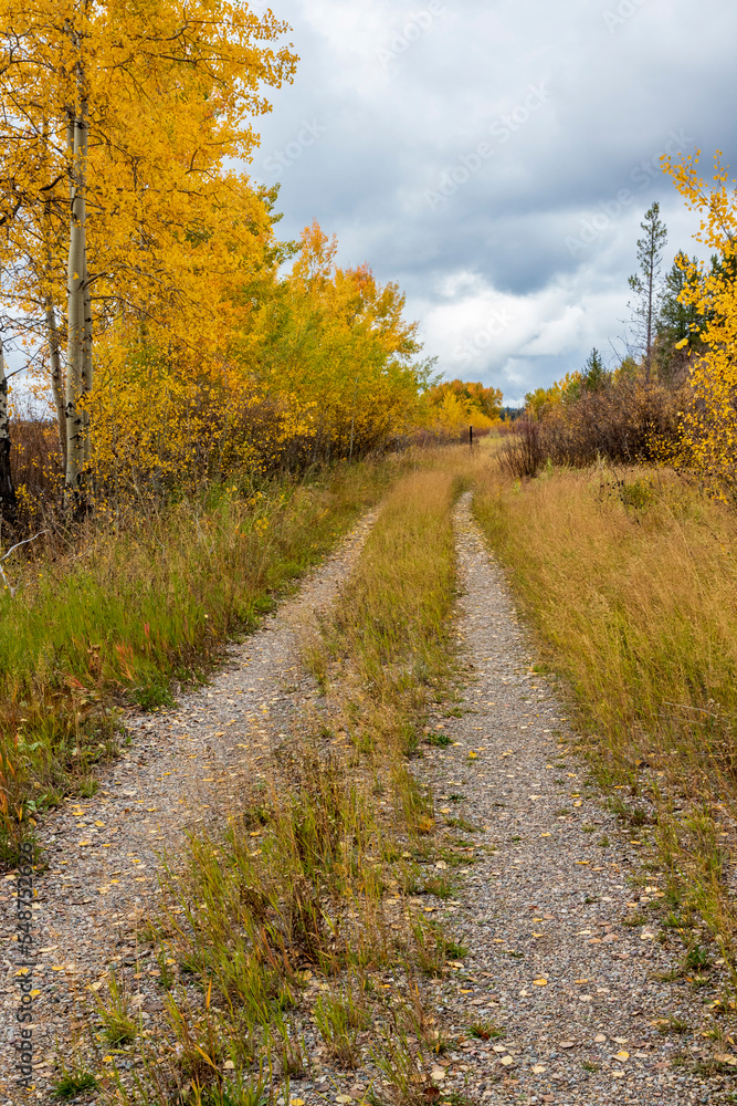 Fall colors near Grand Teton National Park. USA.