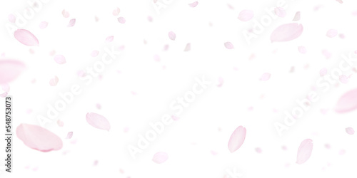 桜の花びら イラスト素材
