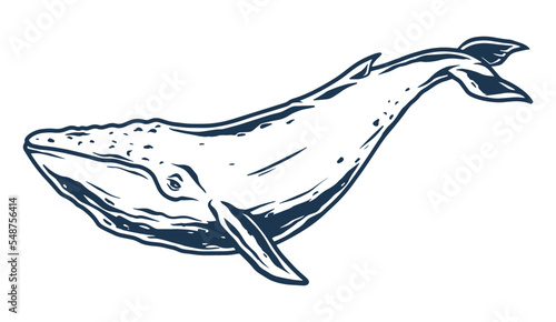 Blue whale monochrome detailed label