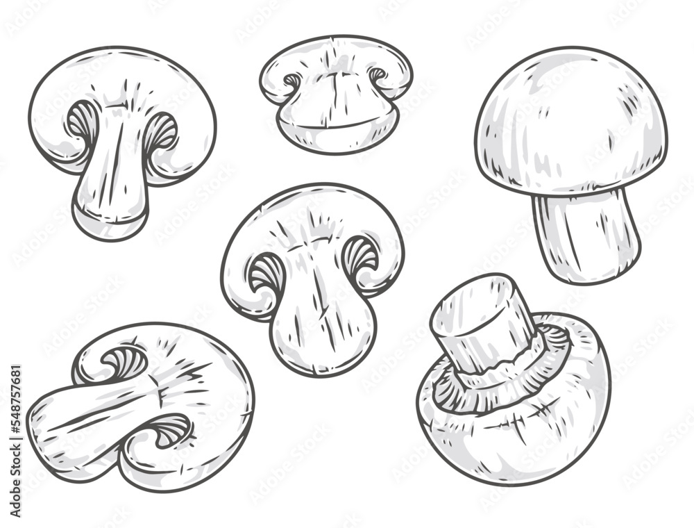 Organic mushrooms monochrome set stickers Organic mushrooms monochrome set stickers