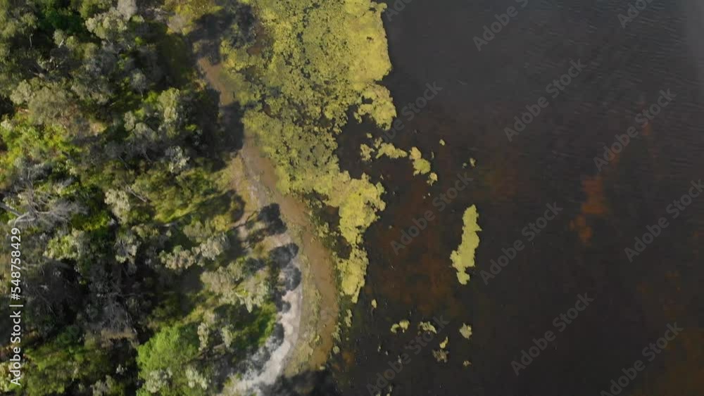 Aerial birds eye view shot of algae on the shores of an Australian lake. Aerial birds eye view shot of algae on the shores of an Australian lake.