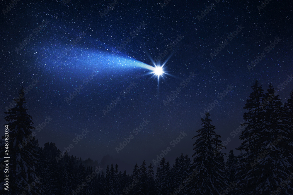 Christmas night. The first star lit up in the winter forest with snow and the night starry sky. Christmas Eve concept. Comet falls in the starry night sky Christmas night. The first star lit up in the winter forest with snow and the night starry sky. Christmas Eve concept. Comet falls in the starry night sky
