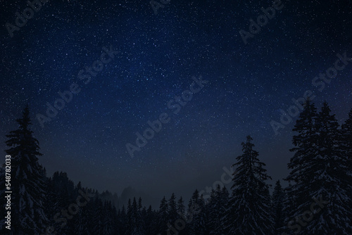 Night clear starry sky in a snowy forest on Christmas Eve