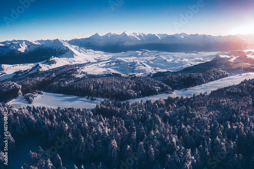 Fototapeta Winter season beautiful vista of rich snowy forest across icy mountains