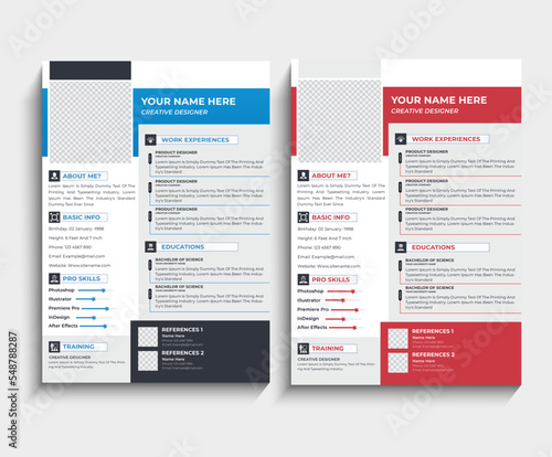 modern professional resume CV template