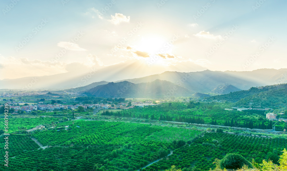 Fototapeta premium green beautiful valley with gardens and plantations and amazing mountains on background during sunset or sunrise