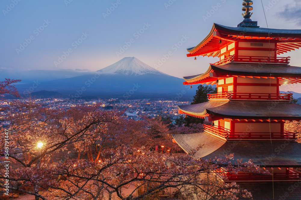View of Mount Fuji at Blue Hour in Spring with Cherry Blossoms in Foreground