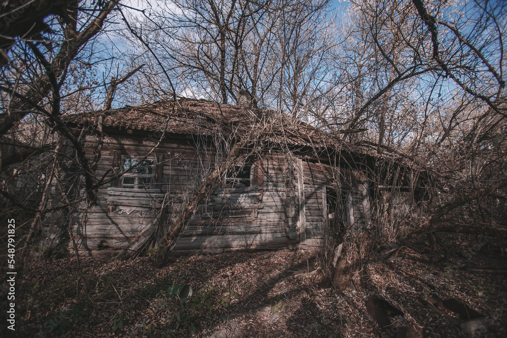 Abandoned rural house in the exclusion zone, Pripyat region, Chernobyl disaster, Ukraine