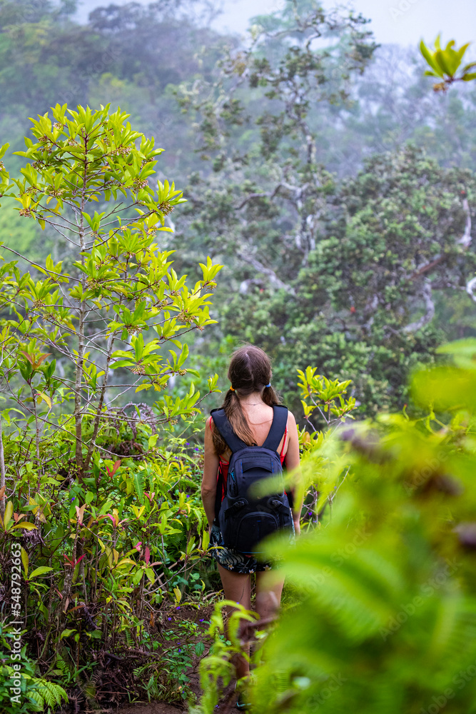 girl with backpack walks among dense green vegetation on kuliouou ridge trail on oahu, hawaii, hiking on mountains in hawaii, active recreation in hawaii girl with backpack walks among dense green vegetation on kuliouou ridge trail on oahu, hawaii, hiking on mountains in hawaii, active recreation in hawaii