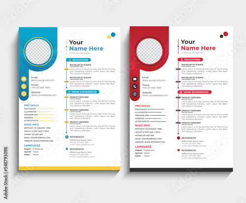 modern professional resume CV template