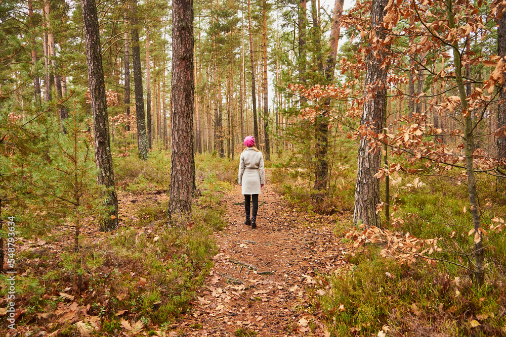 kobieta-na-spacerze-w-lesie-stock-photo-adobe-stock