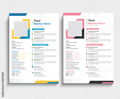 modern professional resume CV template