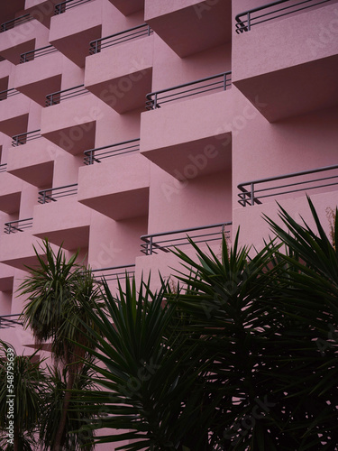 Geometry of pink house and palm trees, Budva, Montenegro