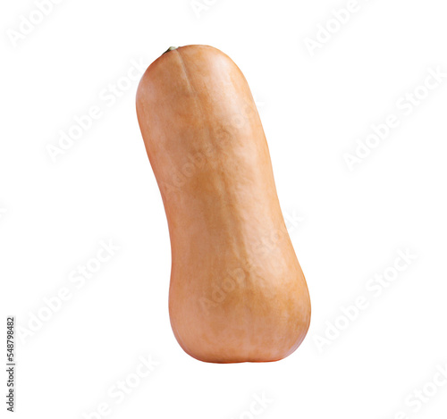 An oblong nutmeg pumpkin in the shape of a hetara.