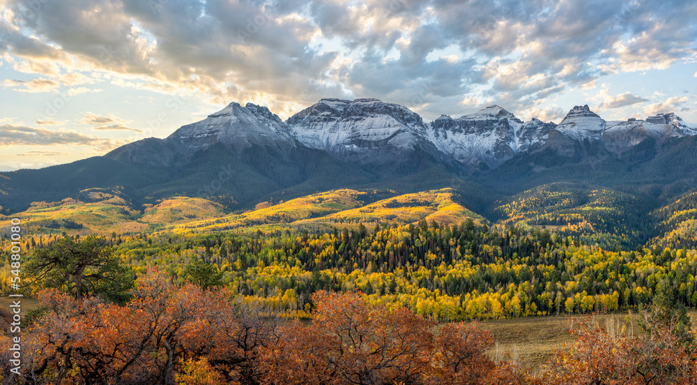 Rocky Mountains - Autumn golden aspen foliage near Ridgway Colorado - County Road 5 - Mount Sneffels - San Juan Mountains