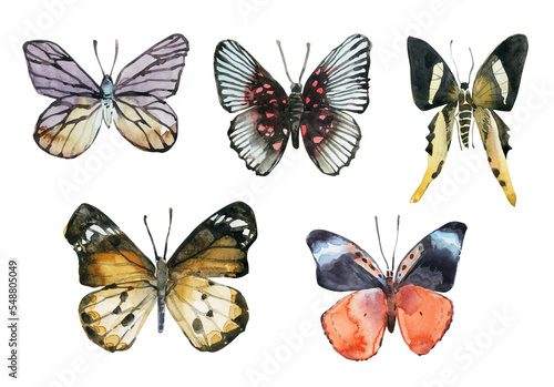 Set with watercolor butterflies. Watercolor illustration. 