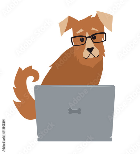 A dog with glasses is sitting at a laptop.