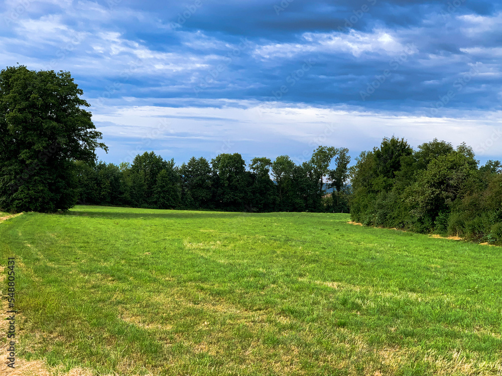 field and sky field and sky