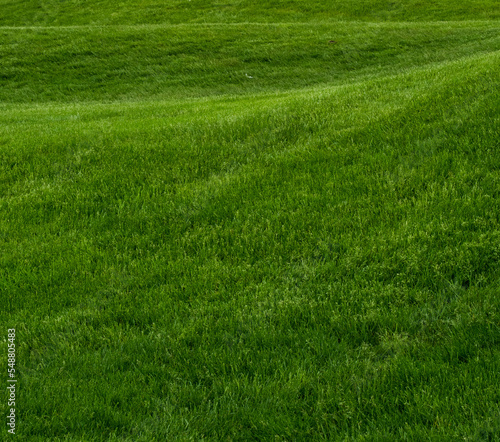 Rolling Hill of Green Grass Square