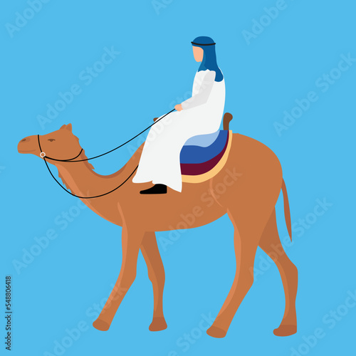 Camel carrying a bedouin isolated on blue background. Vector illustration.