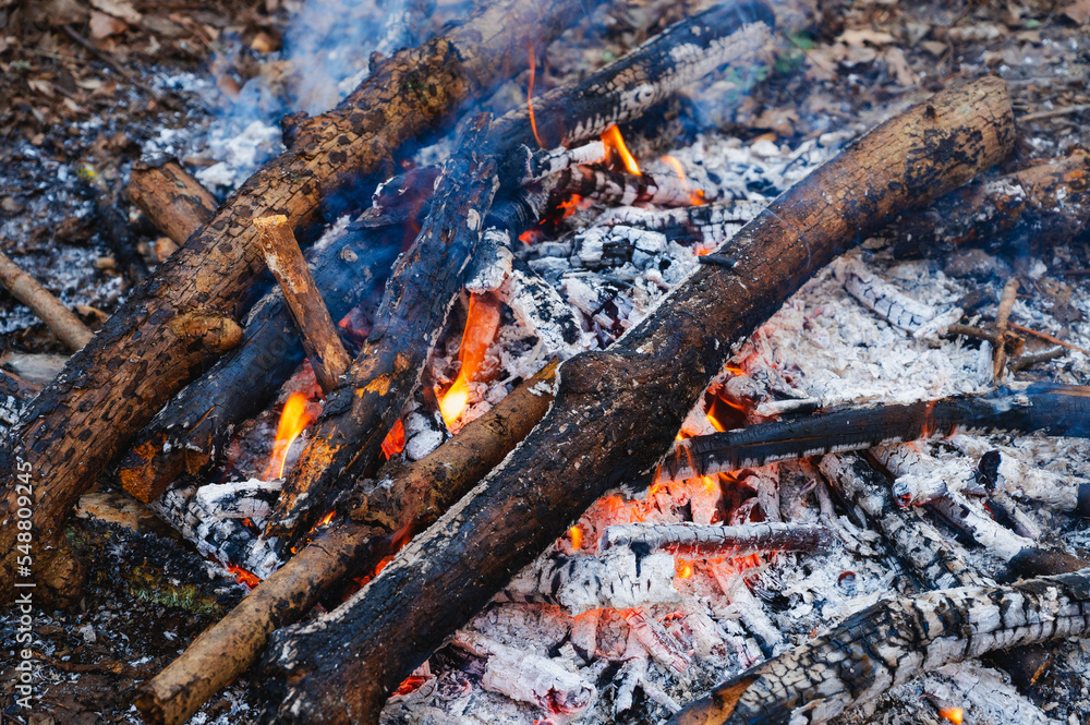 Fototapeta premium Bonfire in the forest