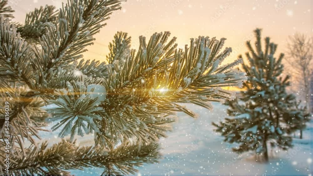 Bright sunny landscape with snow falling snow and a small house in the forest, cinemagraph, video loop Bright sunny landscape with snow falling snow and a small house in the forest, cinemagraph, video loop