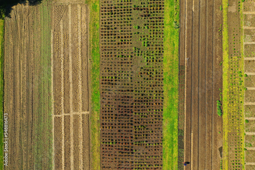 empty raised garden beds in the spring perid photo