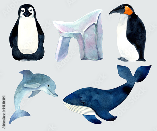 Set with watercolor elements. Whales  penguins  dolphin    and icebergs.