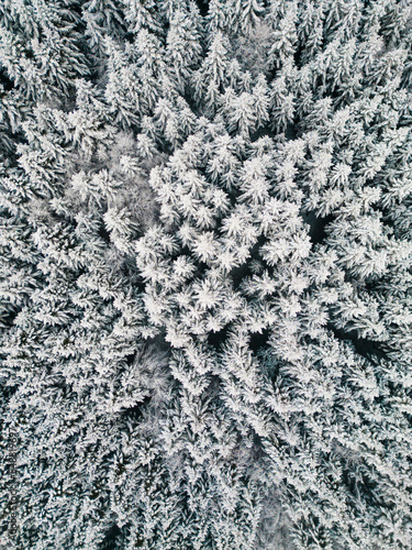 Photo from the drone. Winter landscape. Dense forest covered with snow.