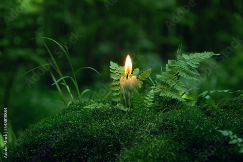 Fotografía burning candle on moss, dark green blurred natural background