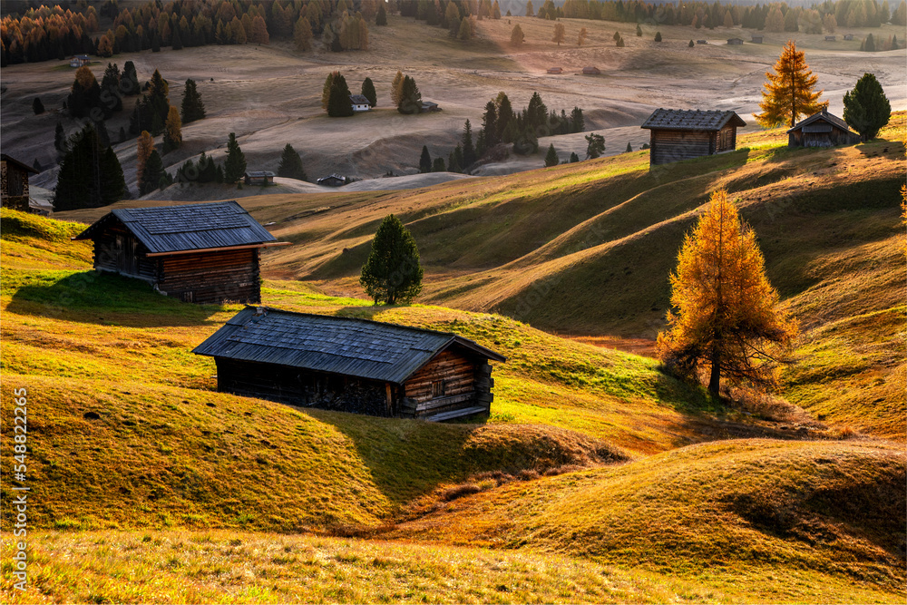 Plener fotograficzny jesień w Dolomitach - obrazy, fototapety, plakaty 