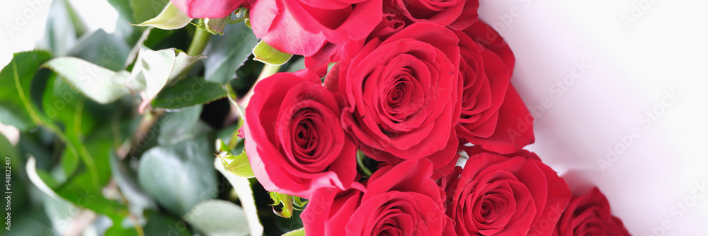 Beautiful bouquet of red roses lies on white background