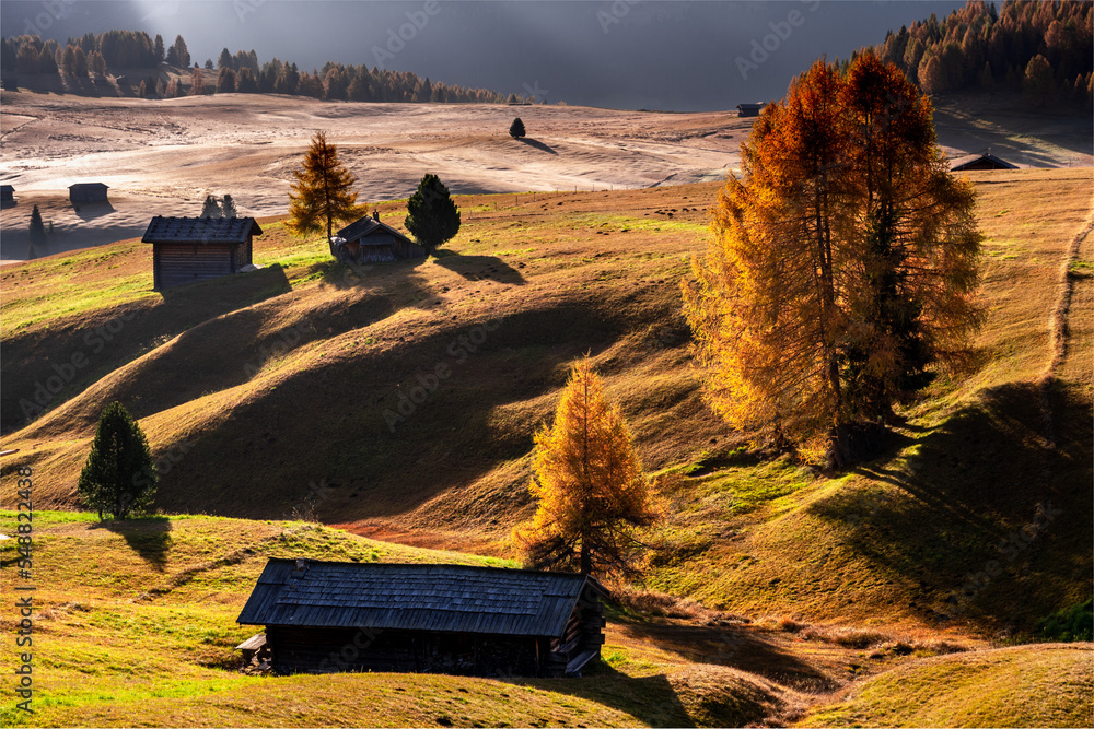 Plener fotograficzny jesień w Dolomitach - obrazy, fototapety, plakaty 