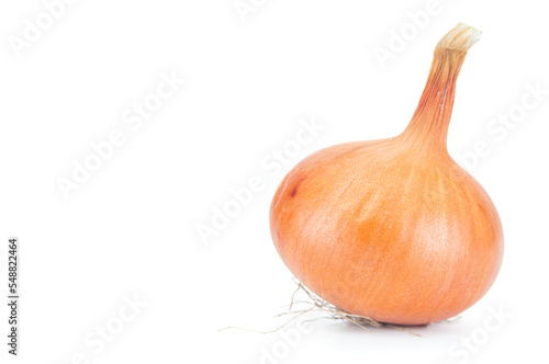 Ripe unpeeled onion bulb close up on white background © unclepodger
