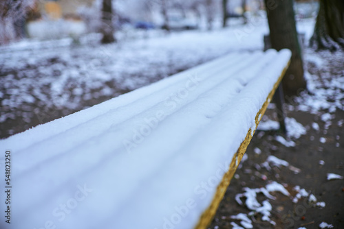 Wallpaper Mural White winter landscape on a city street. Tree branches covered with snow. Frosty air. Cold weather. Sledding and skiing season. Torontodigital.ca
