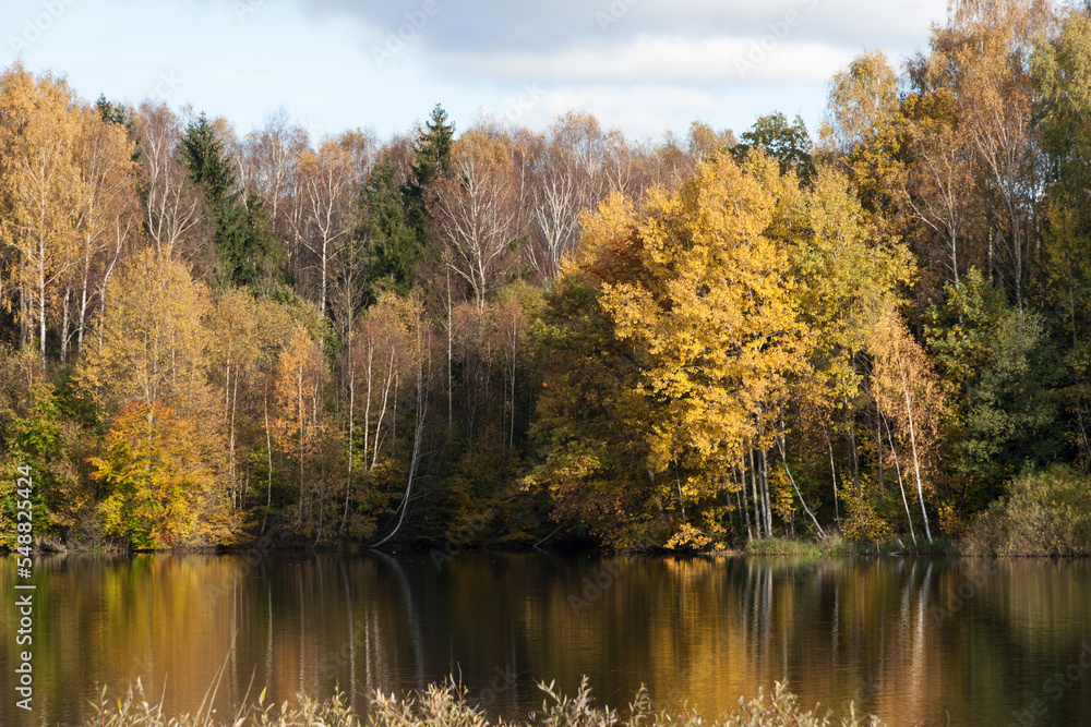 Lake with trees on the shore with yellowed foliage in autumn in sunny weather. Lake with trees on the shore with yellowed foliage in autumn in sunny weather.