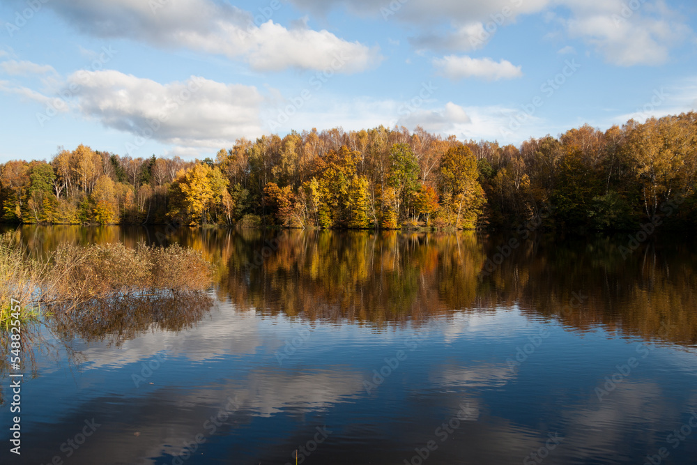 Lake with trees on the shore with yellowed foliage in autumn in sunny weather.