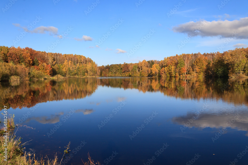 Lake with trees on the shore with yellowed foliage in autumn in sunny weather. Lake with trees on the shore with yellowed foliage in autumn in sunny weather.