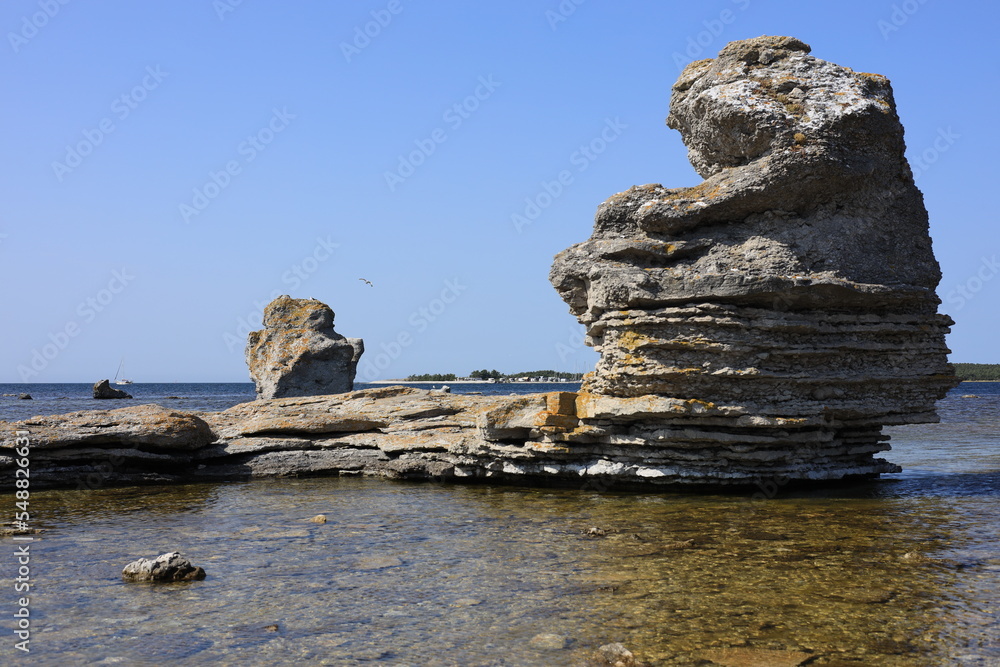 Raukar auf Gotland