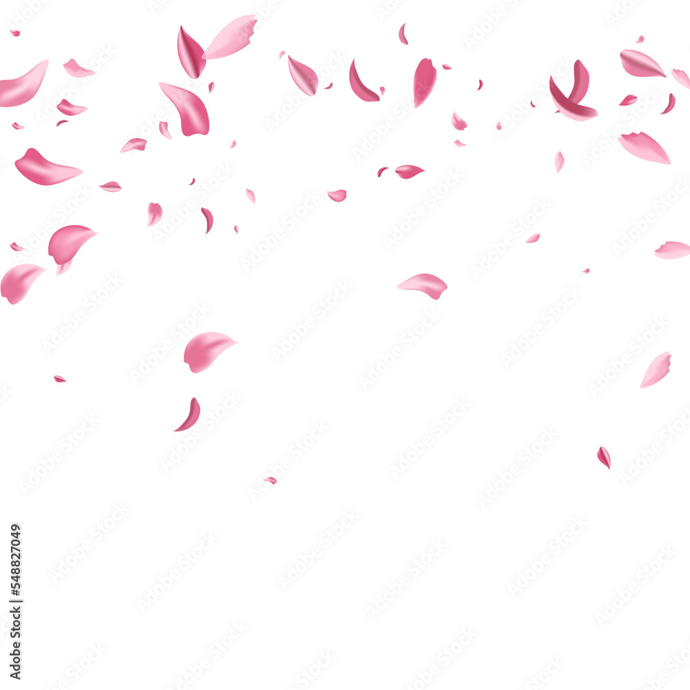Red Sakura Beauty Vector White Background. Fall